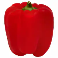 Fresh Red Hothouse Bell Pepper
